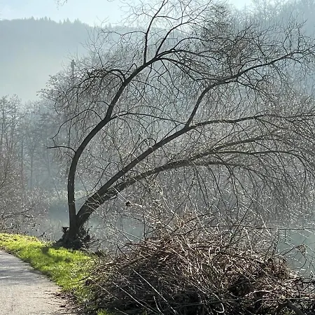 Apartamento Bei Bad Ems Im Lahntal Fachbach